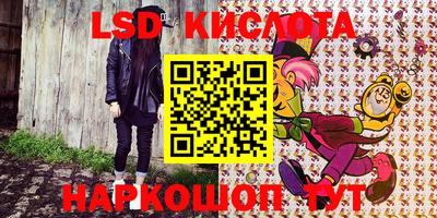 прущие грибы Краснодар