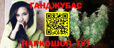 прущие грибы Краснодар