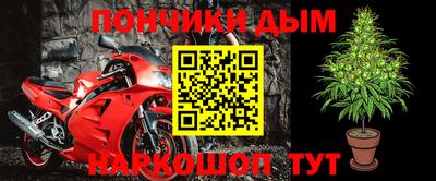 прущие грибы Краснодар
